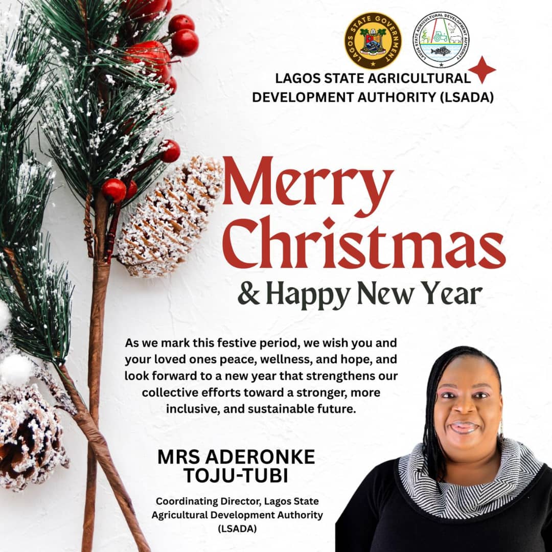 Merry Christmas 🎁 and a Happy 2026 from us at LSADA