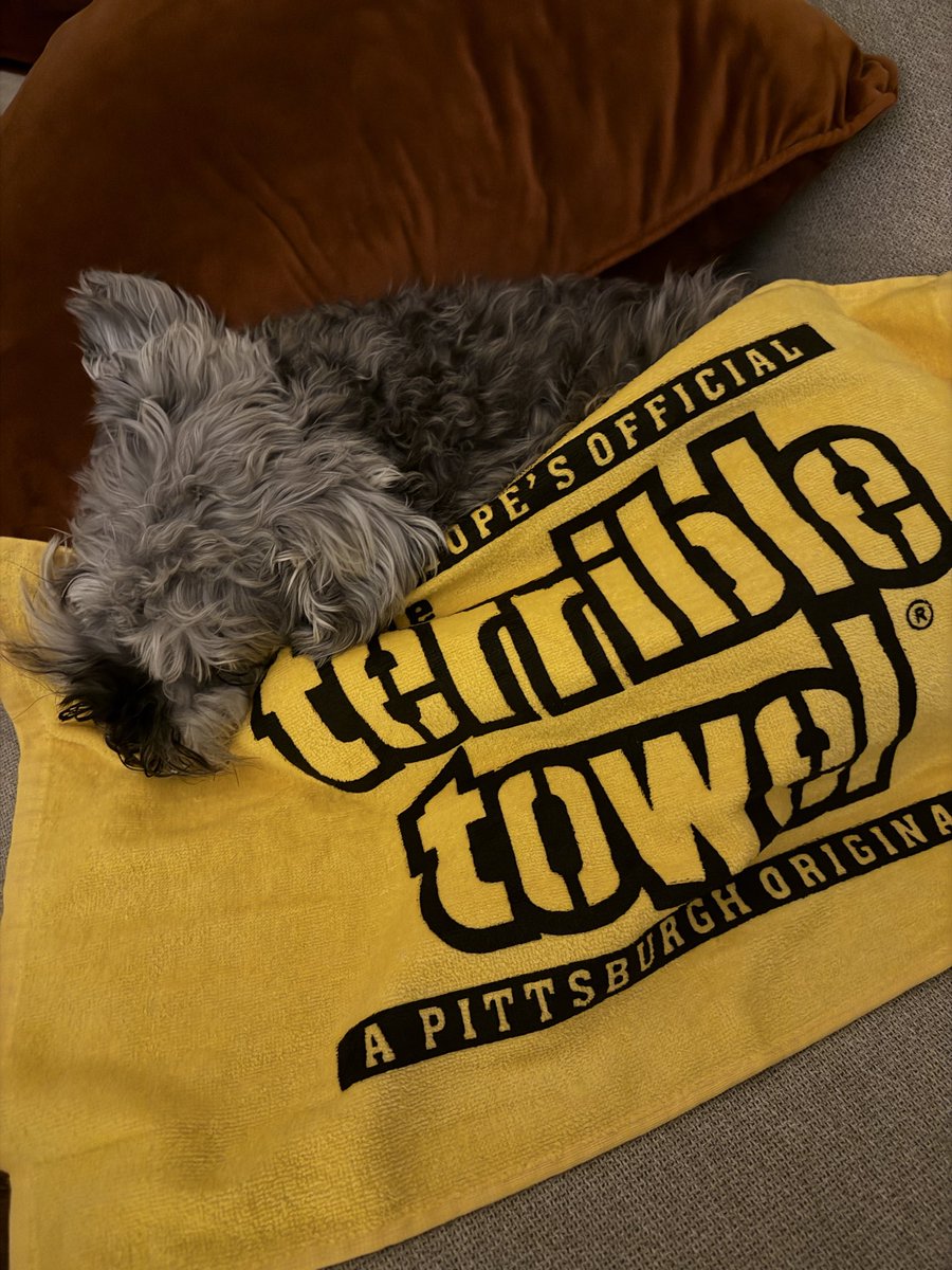 The best Christmas present💛🖤 <a href="/steelers/">Pittsburgh Steelers</a> #HereWeGo