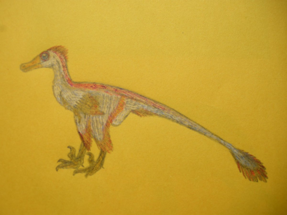 Galliraptor tweet media