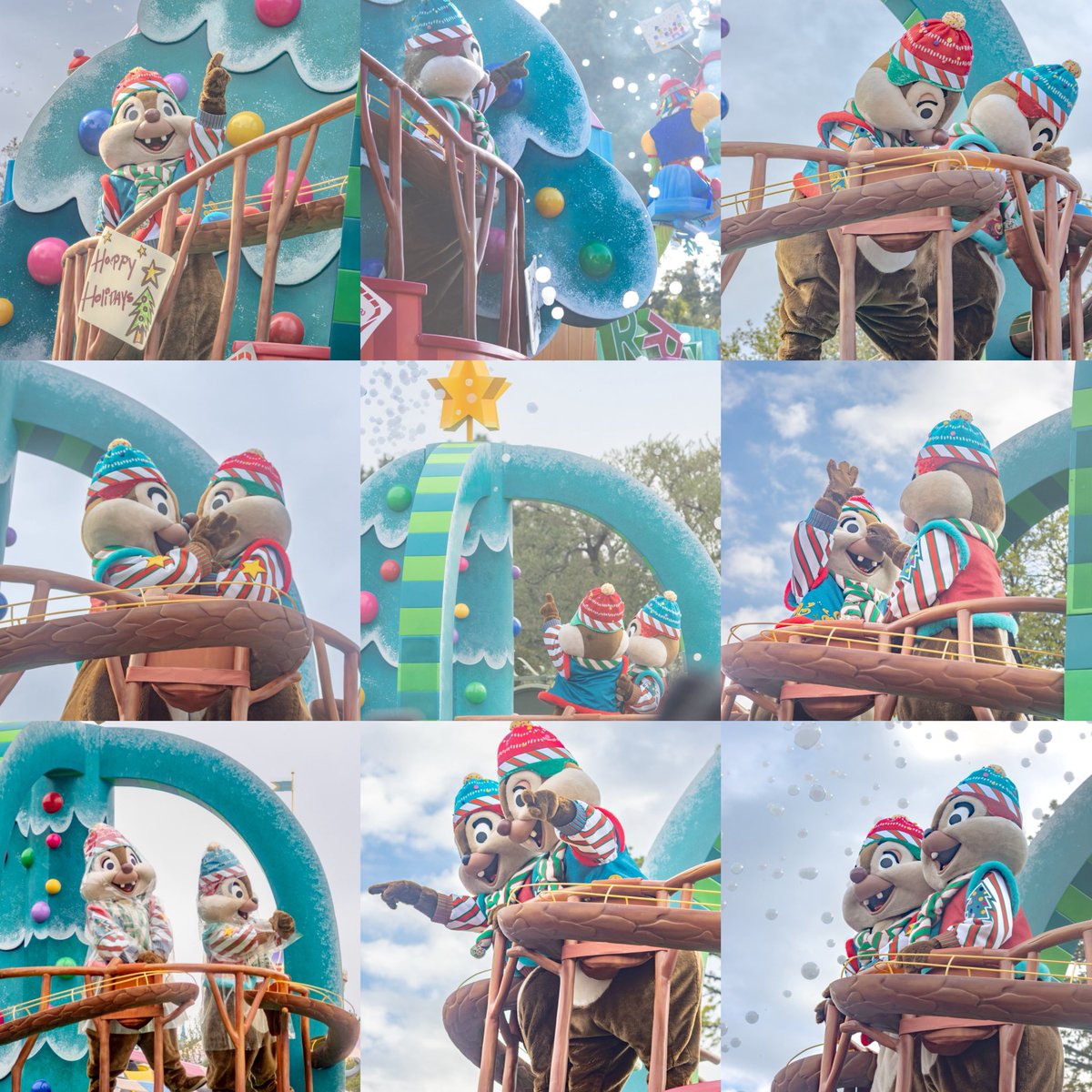 ©️🐿 tweet media