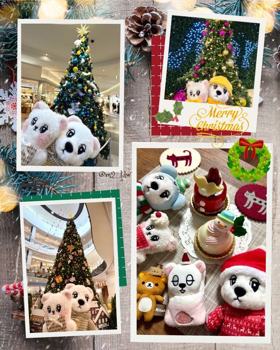 🎄Merry Christmas🎄
#wookdong #욱동이 #ウクドン