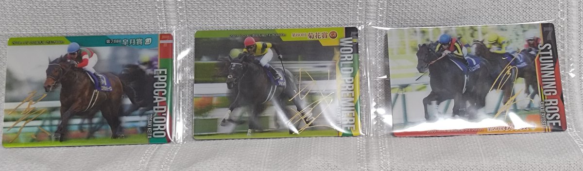 サラブレッドホースコレクション第3R🐴 わたしも買ってみた。箔押しは3