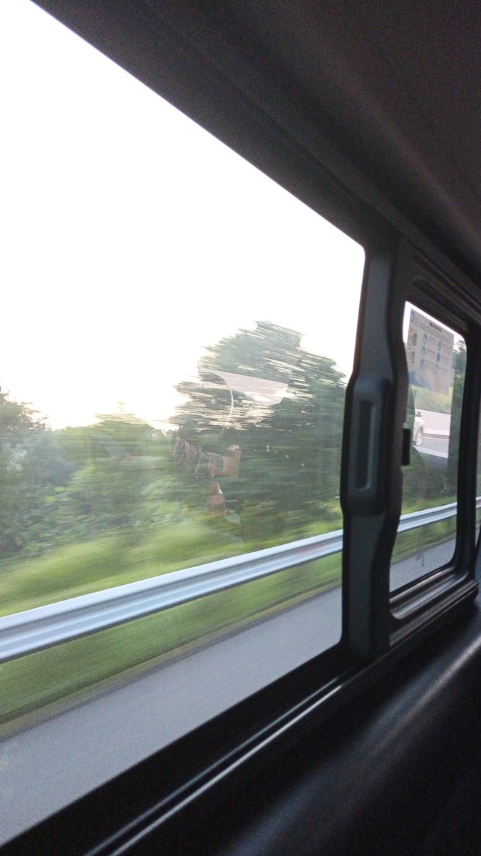 ai_navate's tweet photo. byee tembalang 🥹 https://t.co/reH20ijDgF