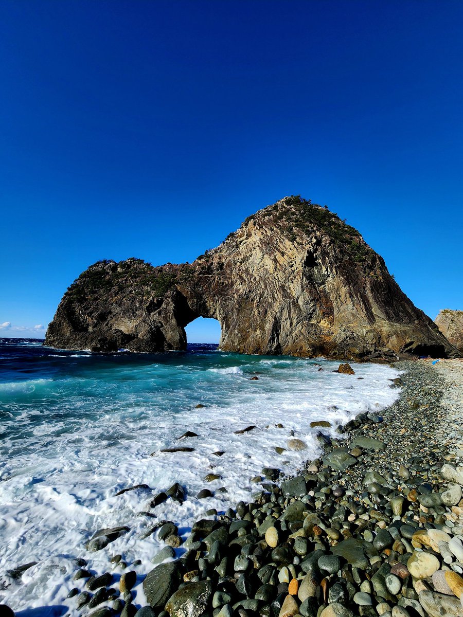 いもむしc(.(.(.(.(@･ω･) tweet media