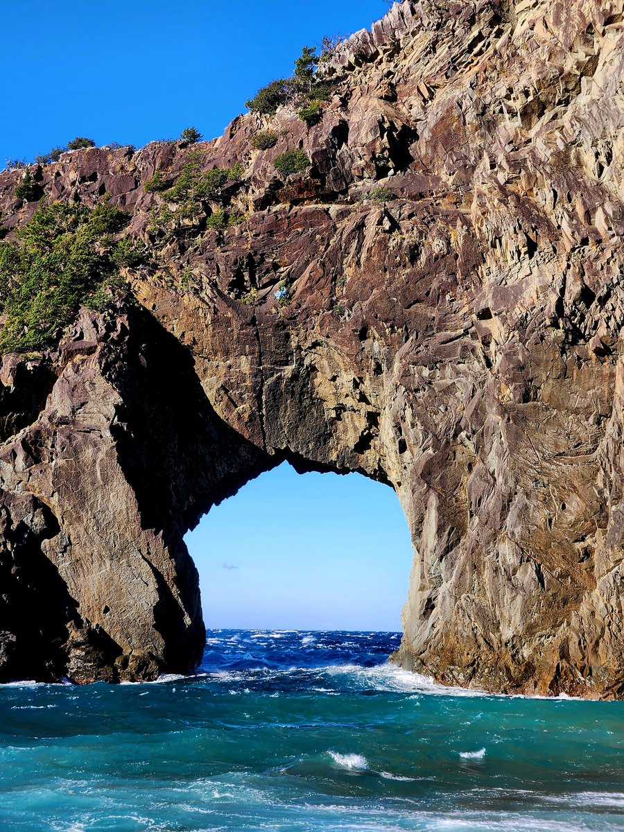 いもむしc(.(.(.(.(@･ω･) tweet media