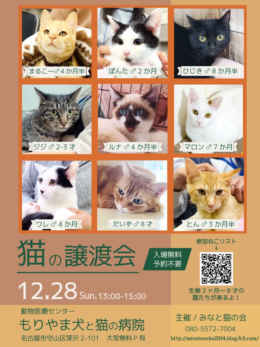 #拡散RPお願いします 
譲渡会というものを多くの方々に知っていただくことで助かる命があります
いつも告知の拡散ありがとうございます

【猫の譲渡会】
•12/28(日)13:00-15:00
•もりやま犬と猫の病院

ご家族で
お友達と
おひとりさまも
お気軽にお越しください🍀

#譲渡会 #猫好きさんと繋がりたい