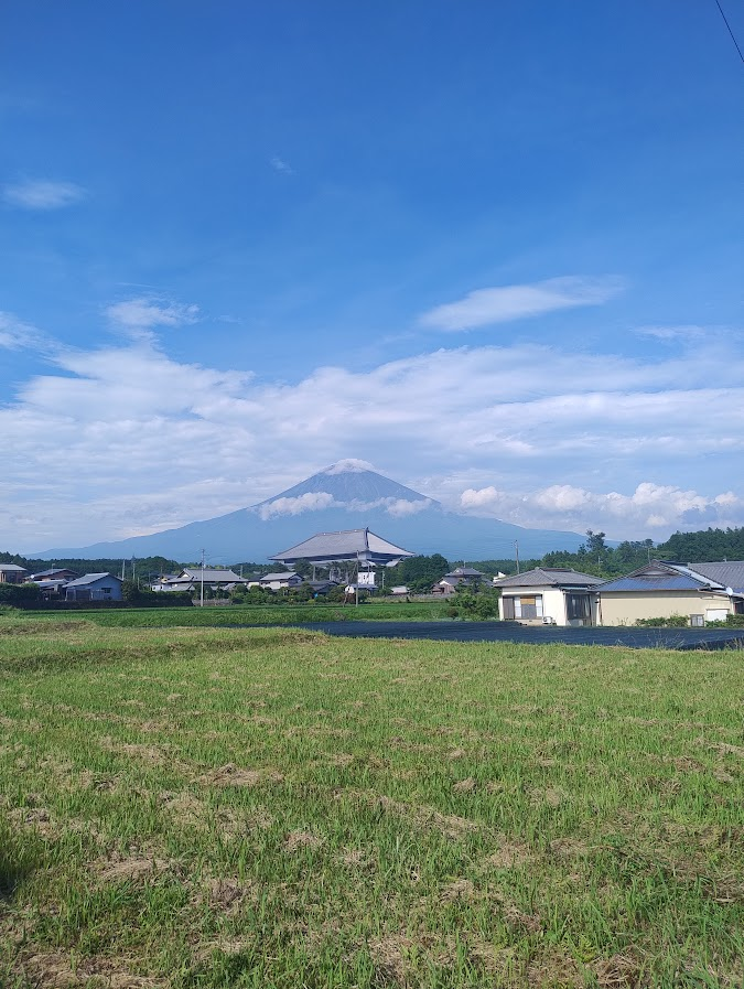 xhops's tweet photo. Algunos recuerdos del viaje de este año a Japón https://t.co/H4maqKWn1K