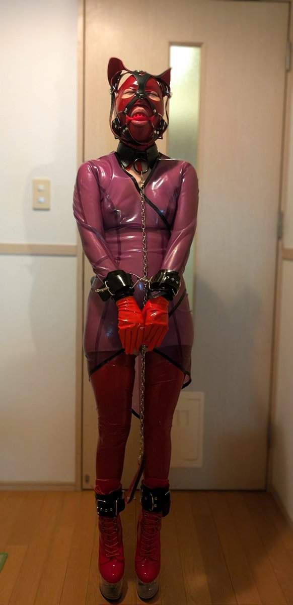 LatexDogMask
