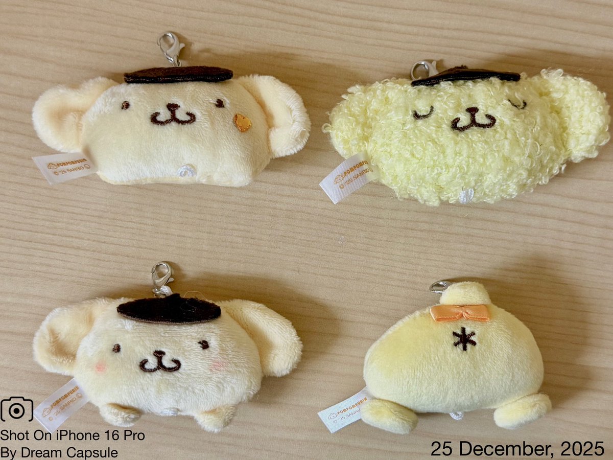 さっちん (@pk_kk_to) / Posts / X