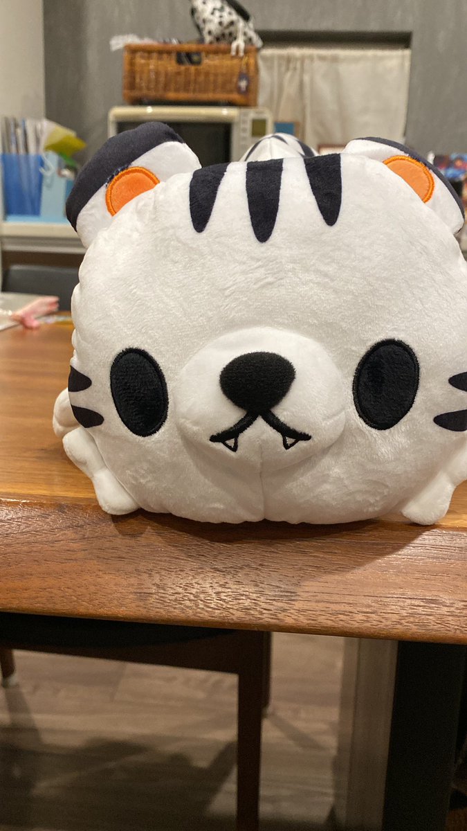 #飛鳥ハーフマラソン

白虎当たった🤣
これ被ってハーフマラソンは流石にキツそう笑笑
サンタさんから贈り物だね🎁