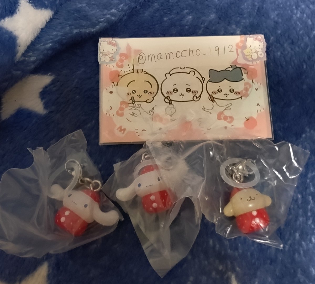 まもち🐶 tweet media