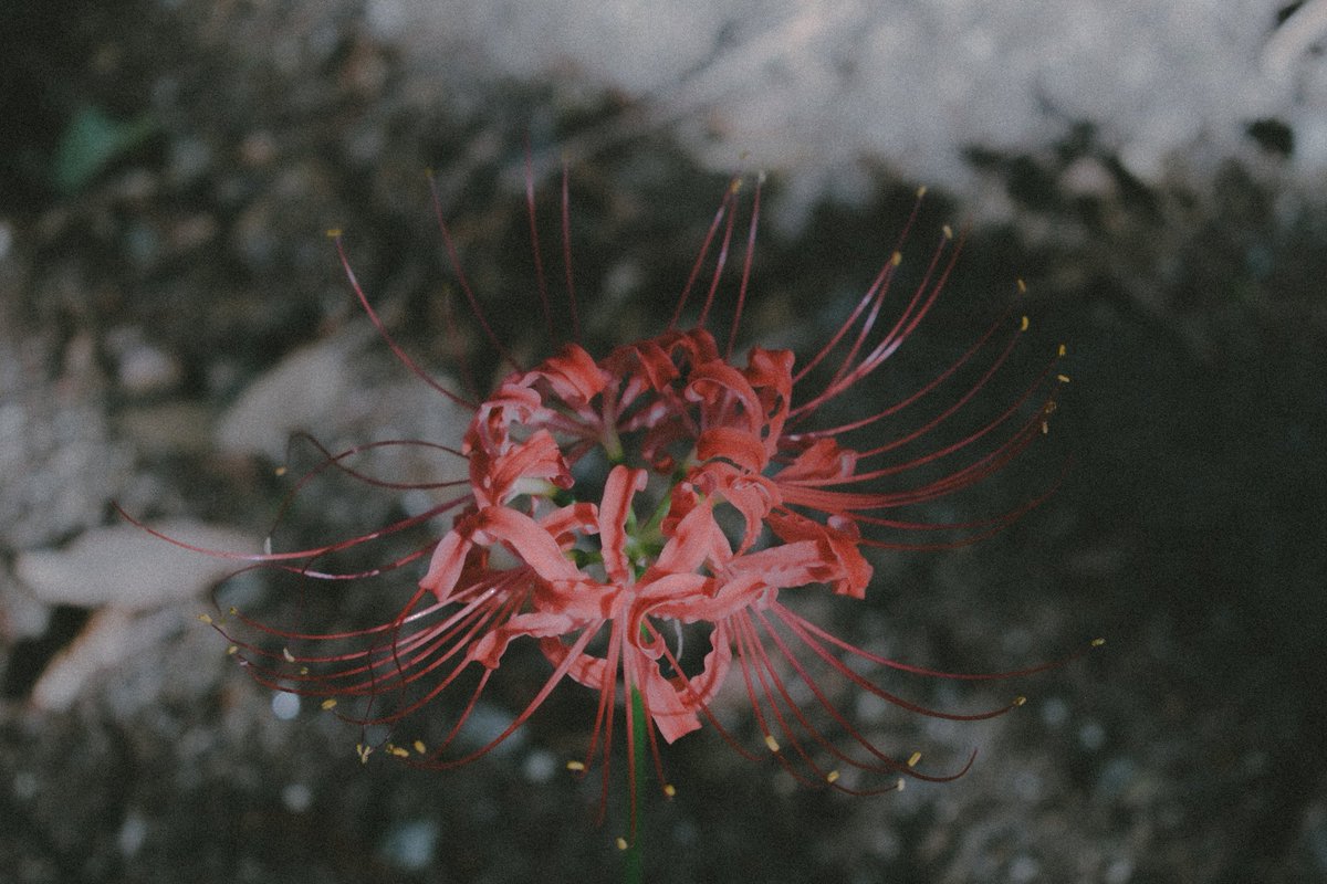 ❏希少【MY PROOF】Reason for My Justice RE:M. ❏希少【MY PROOF】Reason for My Justice RE:M. ❏希少【MY PROOF