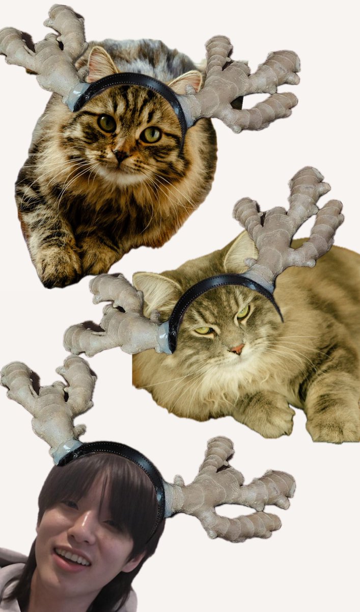 no AI, made by igs 😽 meowy xmas 🫶🏻