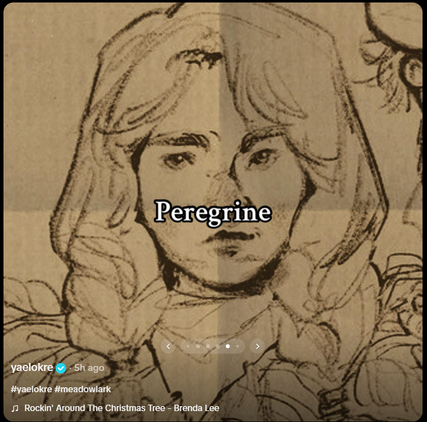 NewsofPeregrine's tweet photo. Peregrine August is in the new Yaelokre video on "How the Lark wraps your gifts" via Tiktok !!
#meadowlark #yaelokre https://t.co/lvZ46ICp2E