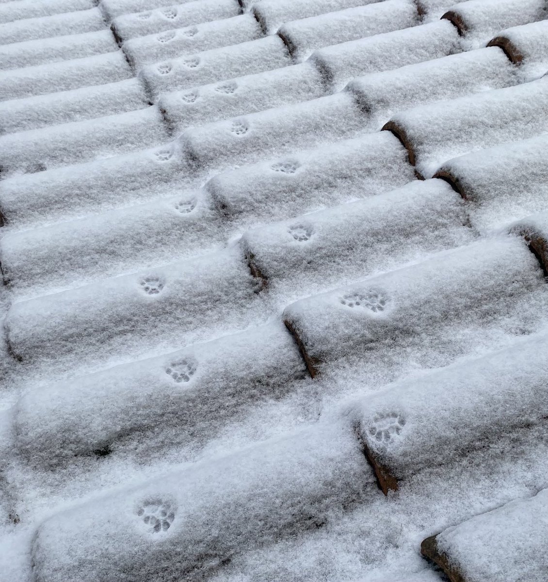 Agnès Castel tweet media