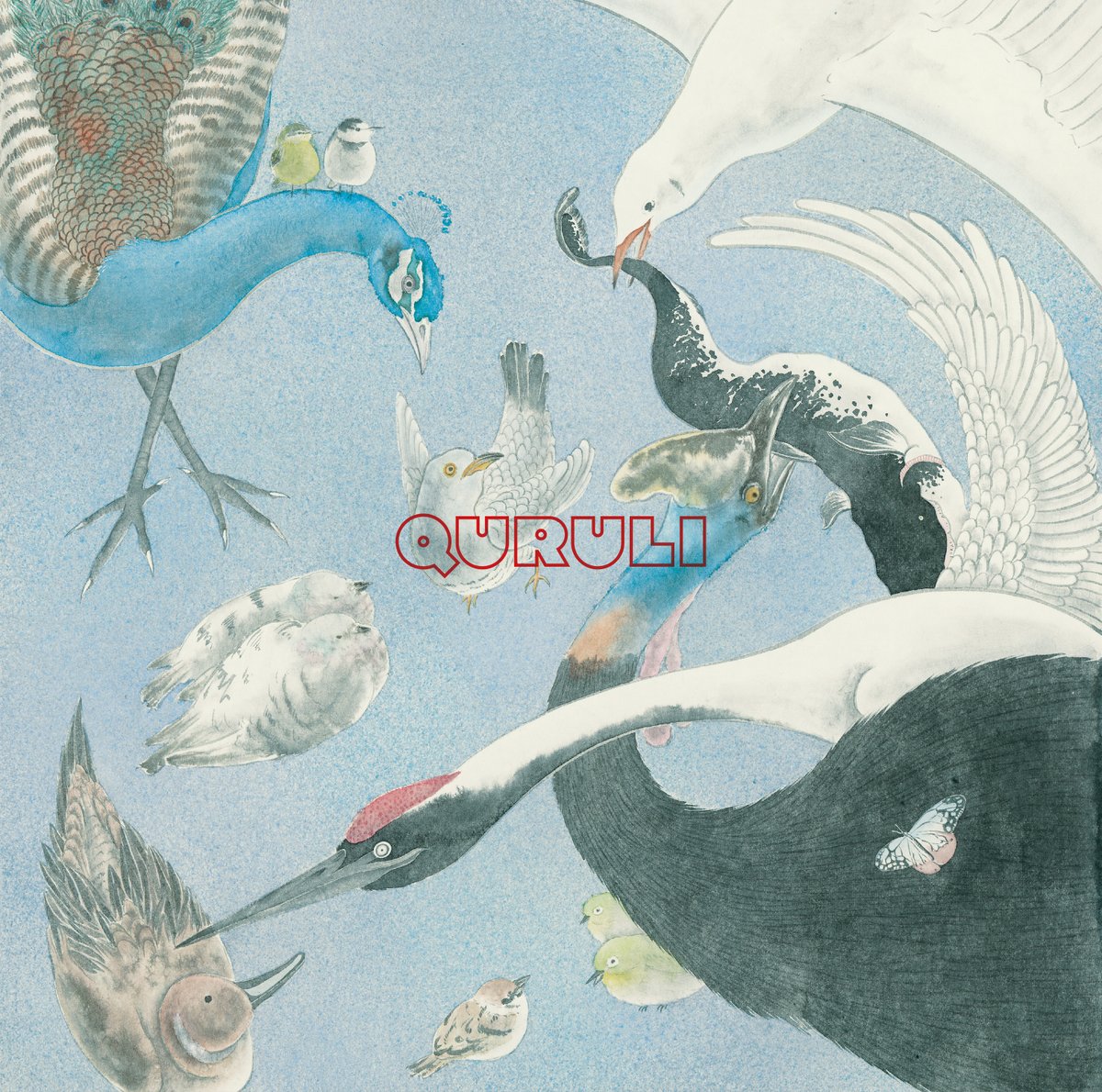 岸田繁 Shigeru Kishida (@Kishida_Qrl) / Posts / X