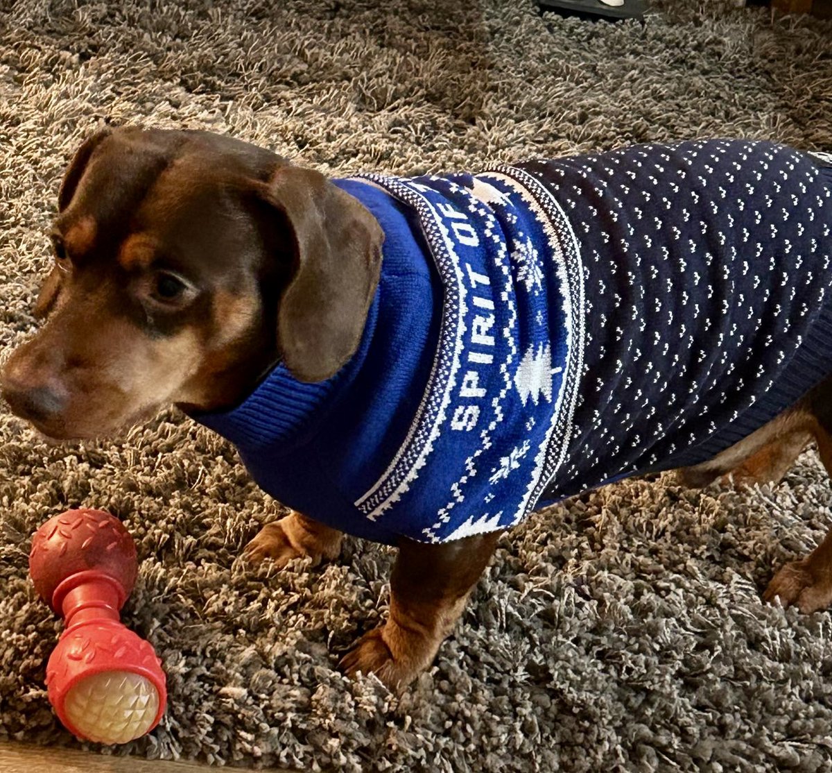 FK_1966's tweet photo. Have A Malley Christmas https://t.co/chEL1tG3A5