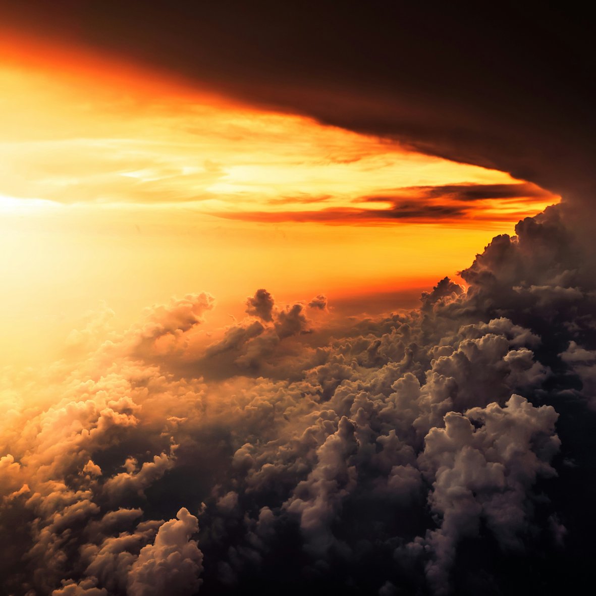 On this sacred day, symbolizing the transition from darkness to light, we wish for all humanity to be enlightened in the light of peace and justice.

#WorldHalalUnion #DünyaHelalBirliği #Halal #Helal #Peace #Justice #ceasefirenow #genocide #HolyMonths #RegaibKandili