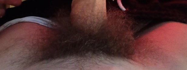 grosso 🧀🍺⚡🐽 tweet media