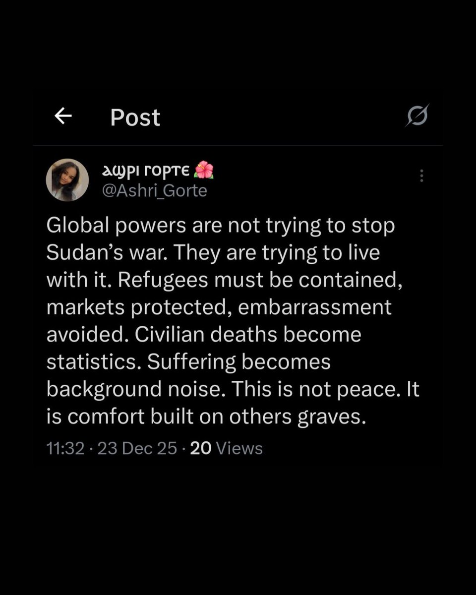 Media Diversified 🇸🇩 🇵🇸 tweet media