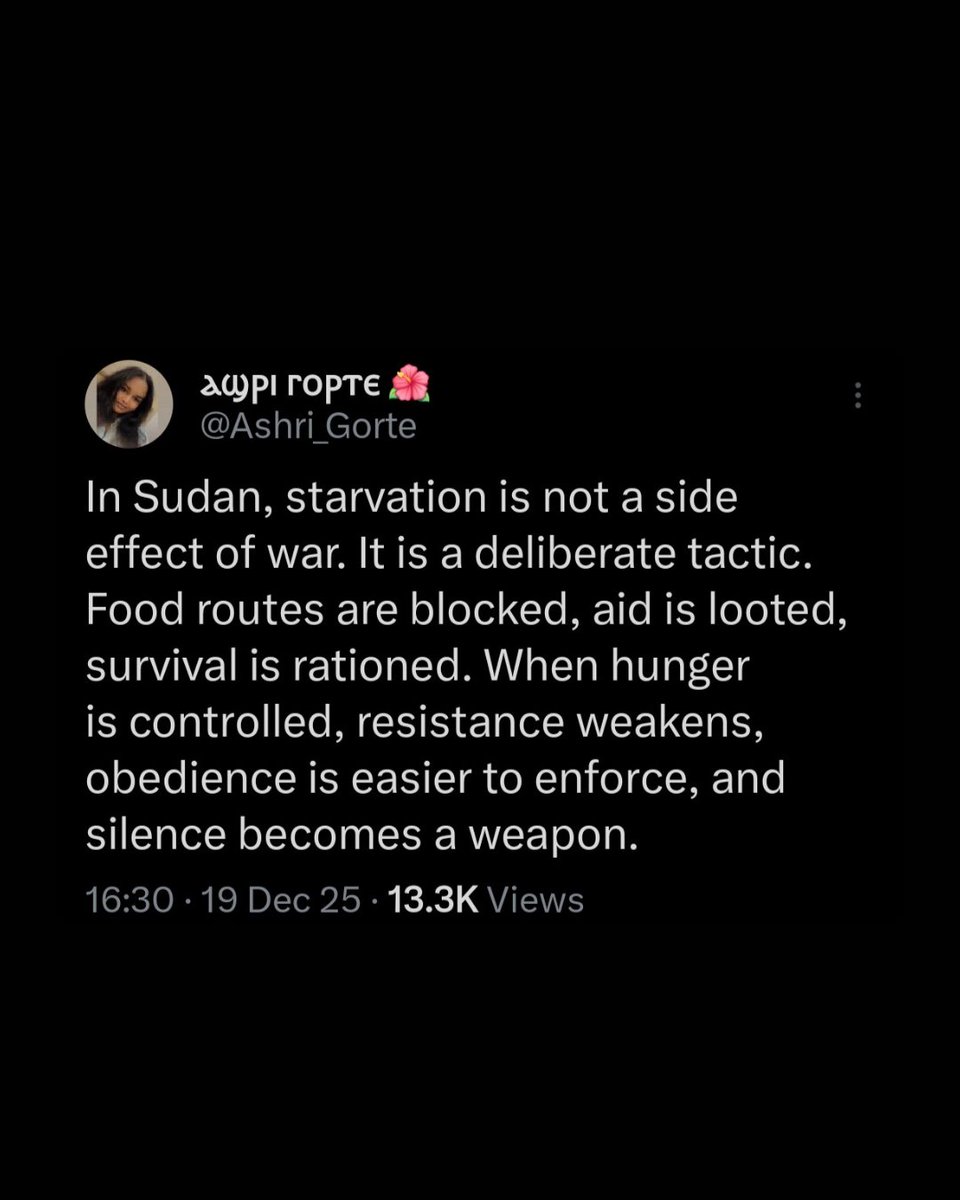 Media Diversified 🇸🇩 🇵🇸 tweet media