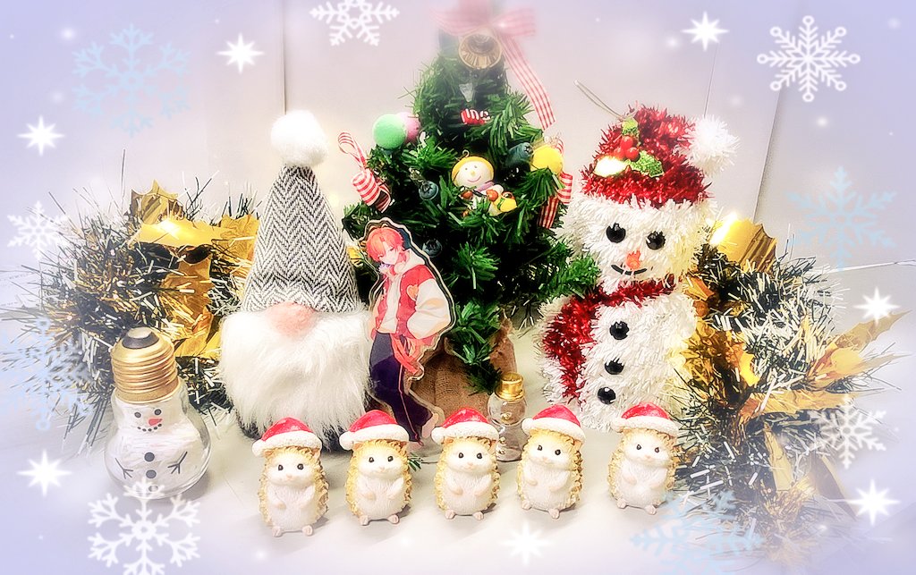 クリスマスのお写真✨ ハリネズミが可愛すぎていっぱい並べちゃった