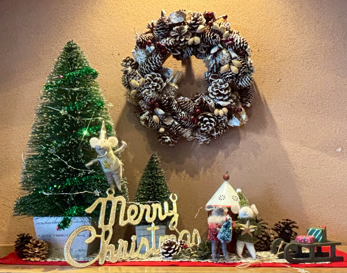 yurulinn's tweet photo. ✧*｡🎄𝐌𝐞𝐫𝐫𝐲𝐂𝐡𝐫𝐢𝐬𝐭𝐦𝐚𝐬🎄🎅🏻✧*｡

親族のお気に入り、梅の花グループꕤ
先日また『チャイナ梅の花 』でご馳走になりました🙏🏻

季節に合わせた飾り付けも楽しみのひとつ🥳
Xmasオーナメントも素敵✨️ https://t.co/11T46MCgdq