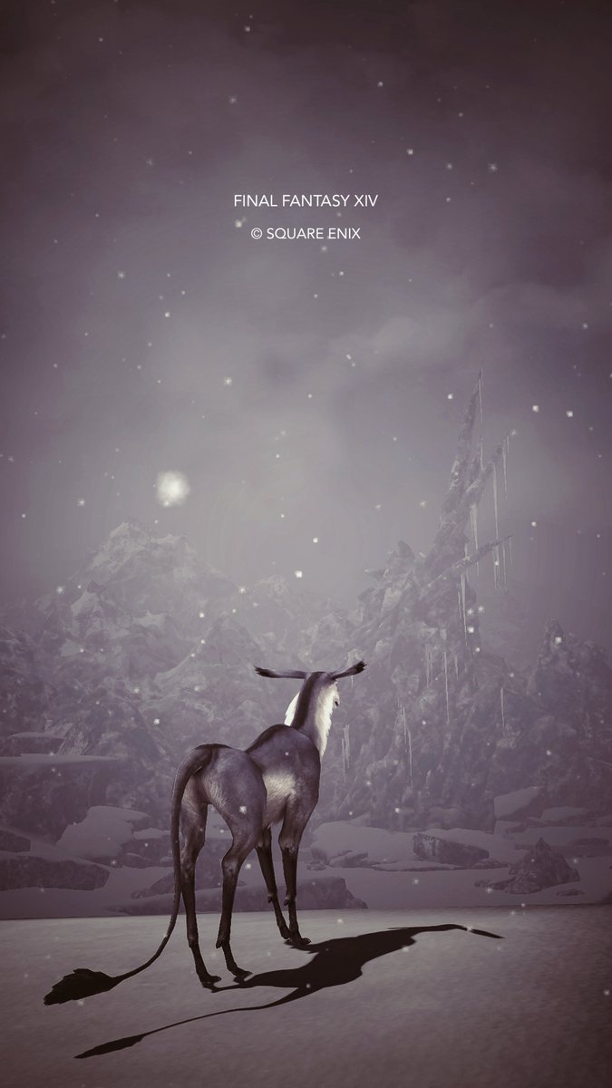 𝖲𝗈𝗇𝖺 tweet media