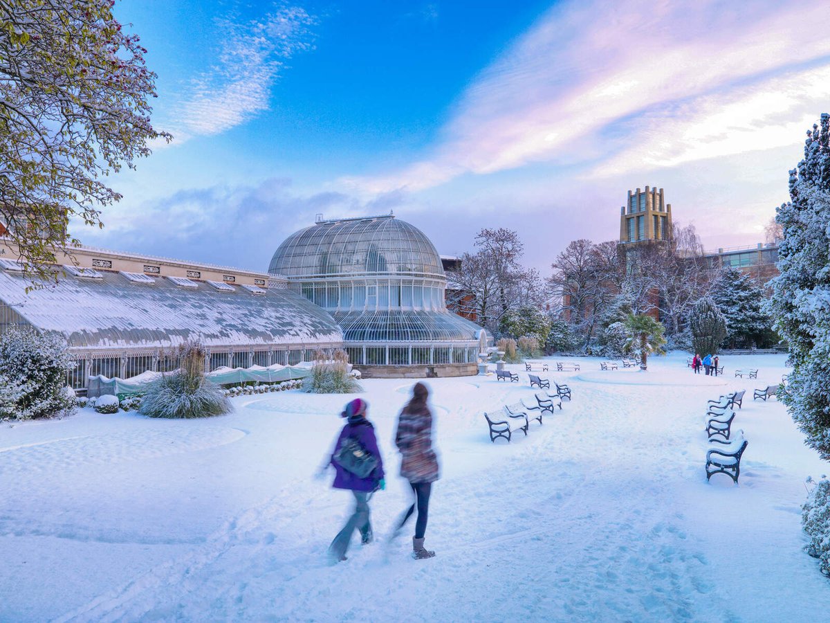 Discover Ireland tweet media