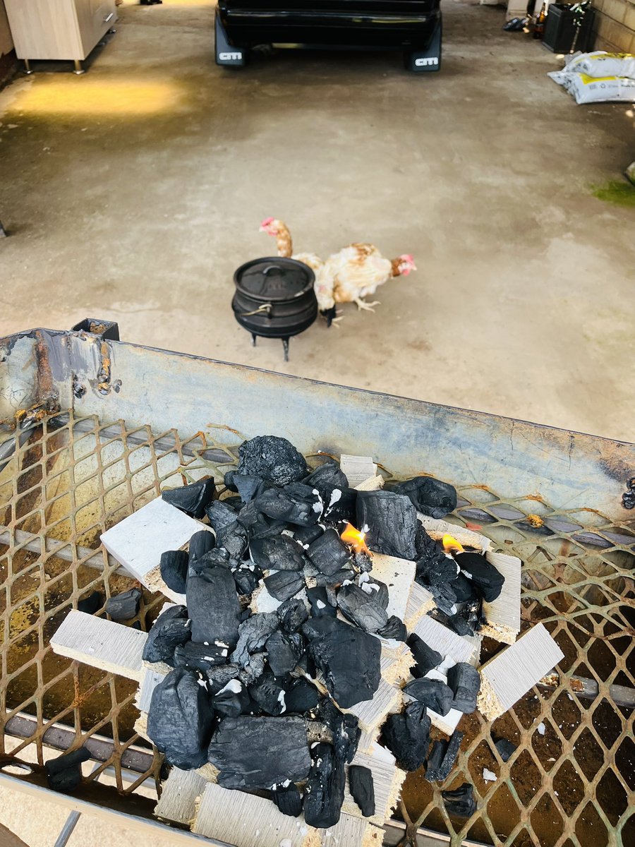 MohaleMotaung_'s tweet image. It’s about to go down