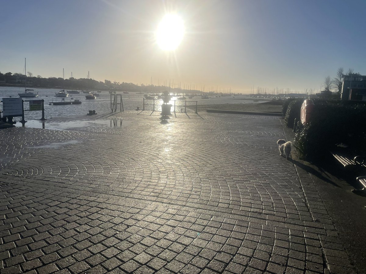 Serf to Surf tweet media