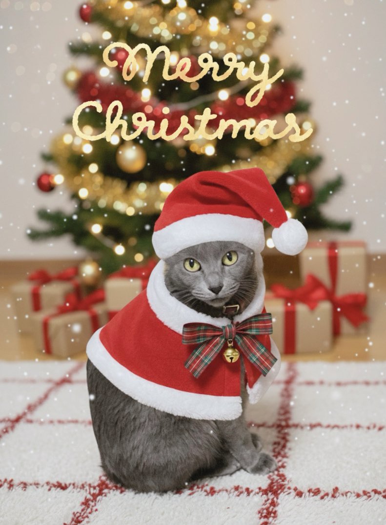 catmonja's tweet photo. 🎄🦌🔔✨Merry Christmas✨🔔🦌🎄 https://t.co/YIWgI1DM7I