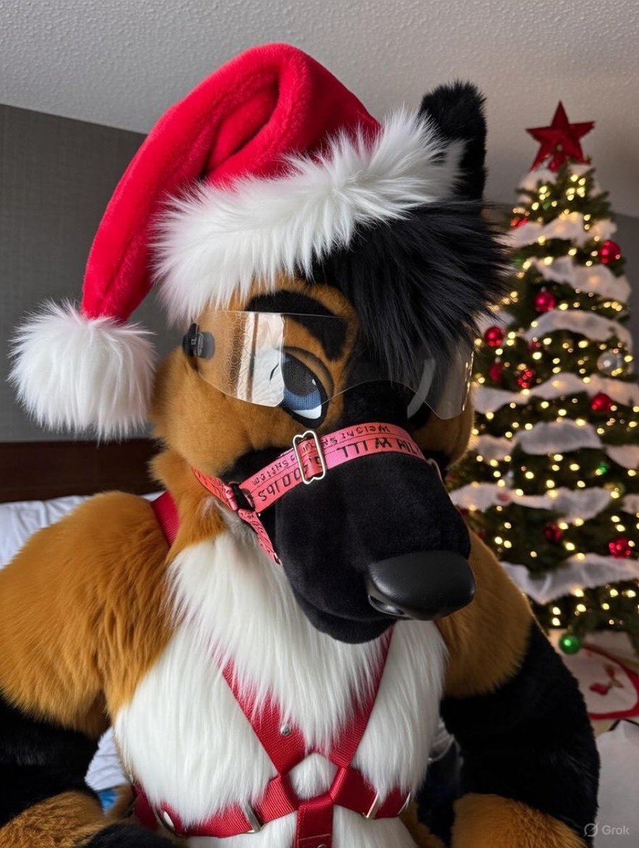 Apollo Shinn @MFF 26 tweet media