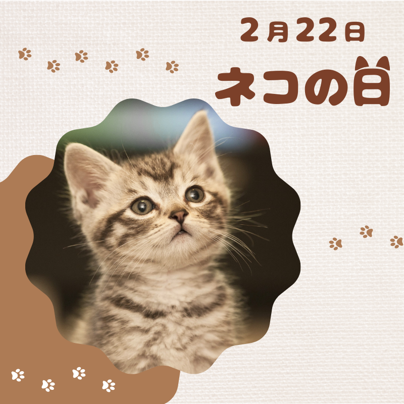 micarea_jp's tweet photo. ⠀/／
🐱 今日は猫の日
⠀\＼

猫と一緒に暮らせる幸せに感謝し、
 猫とともにこの喜びをかみしめる記念日を✨
という思いが込められているそう。

猫と過ごす機会がある方は
思いっきり可愛がってあげてくださいね♪

また、ぜひこの投稿に
自慢の可愛い猫ちゃんの写真を
貼ってください🐈♪ https://t.co/zXv1y0D031