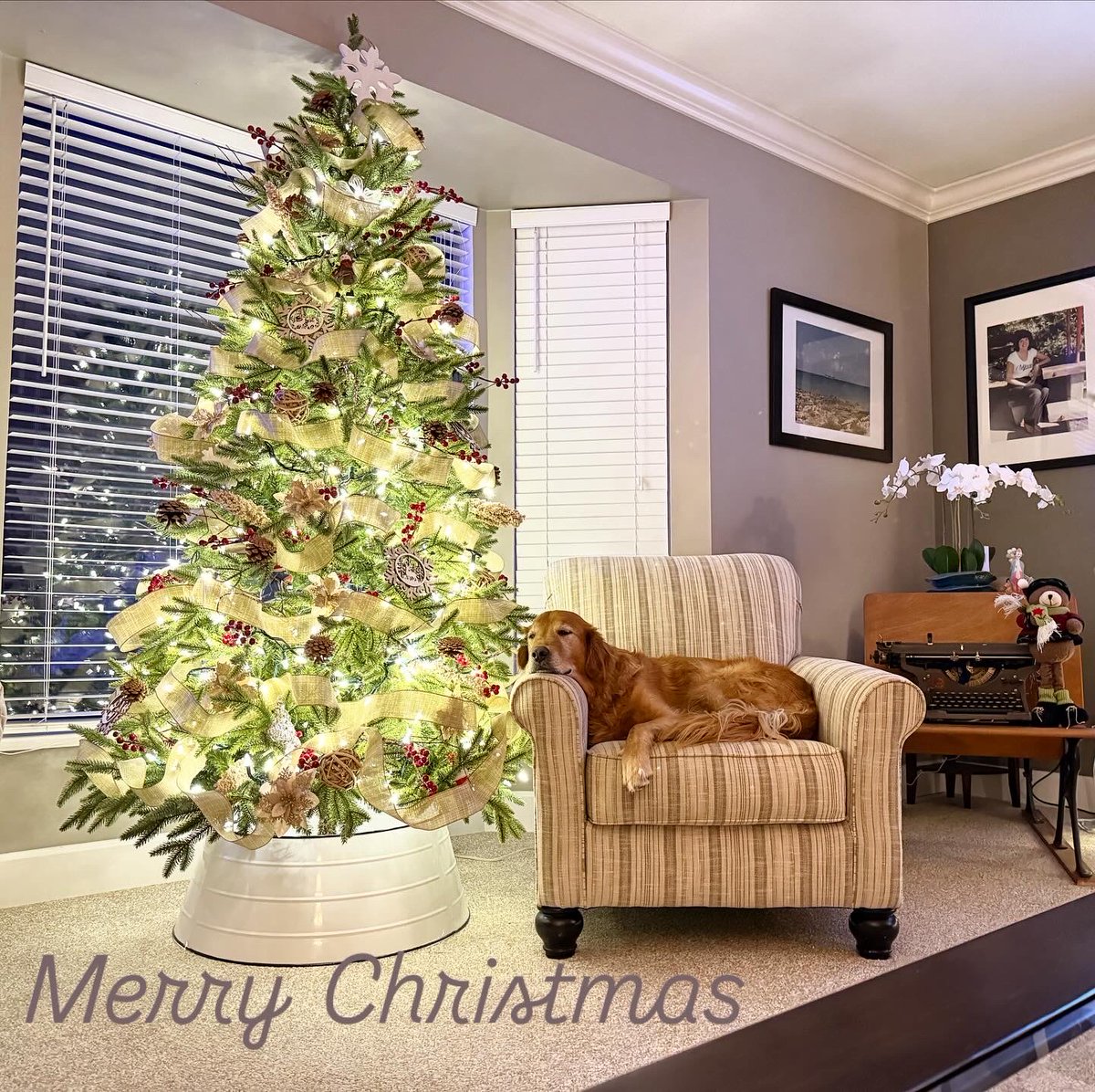 Merry Christmas Everyone 🎄