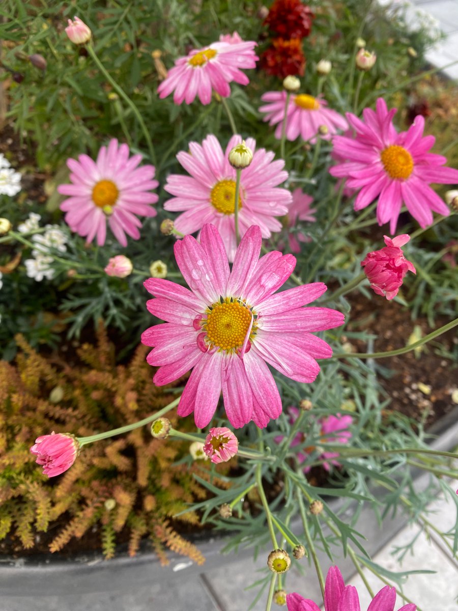 空太郎 (@kuukansugoi) / Posts / X