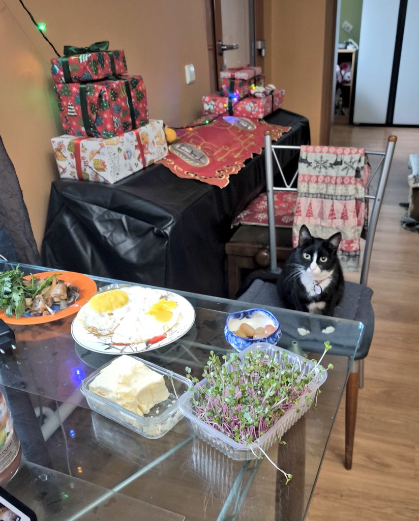 Кто-то покушается на мой рождественский завтрак🤗