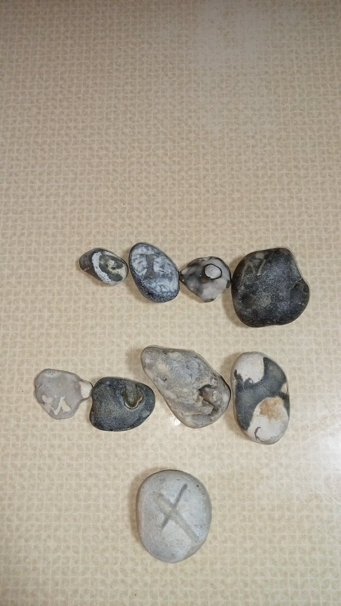 HiveMindHash's tweet image. Merry Xmas musk