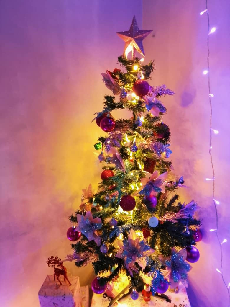 ramanathegunner's tweet photo. Merry Christmas ⛄🎄🧑‍🎄

#MerryChristmas #Christmas #likes https://t.co/IVzUXGh5uB