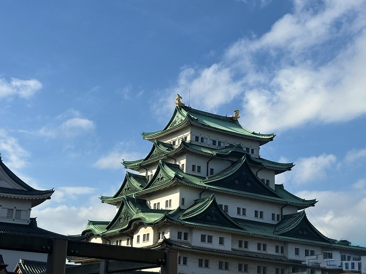 井上智恵 tweet media