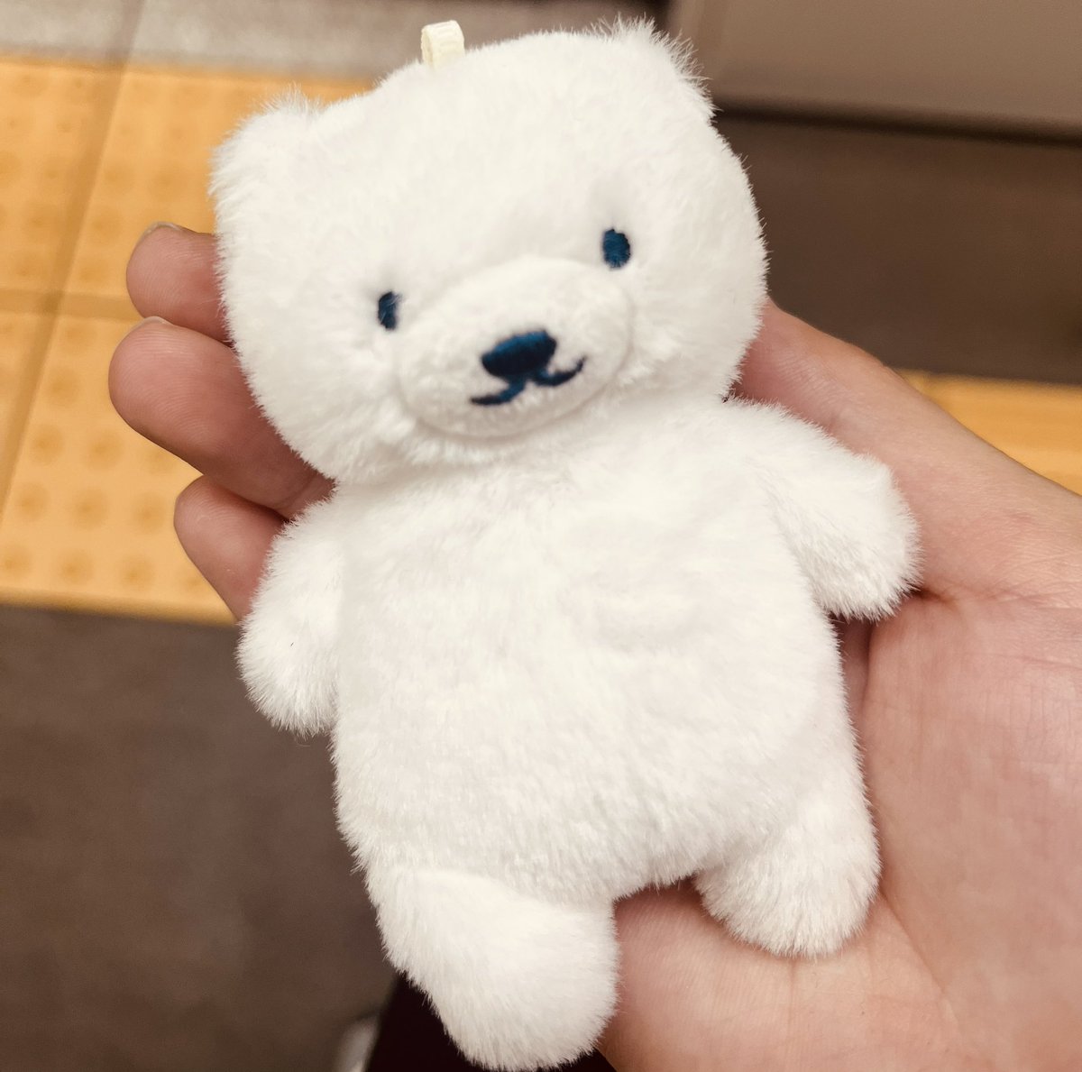 ほわほわしているね☺️ #しろくまのいる生活