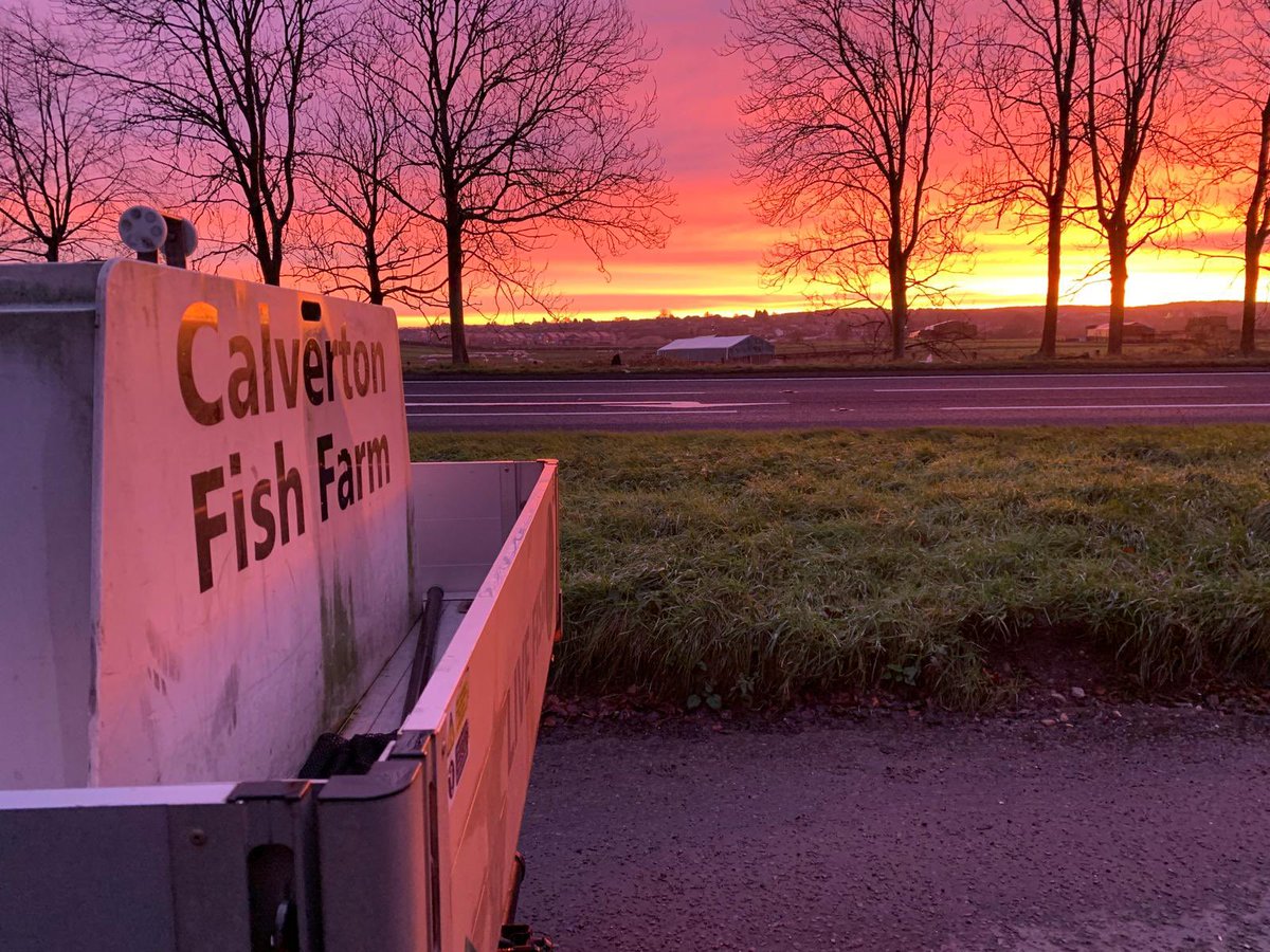 Calverton Fish Farm tweet media