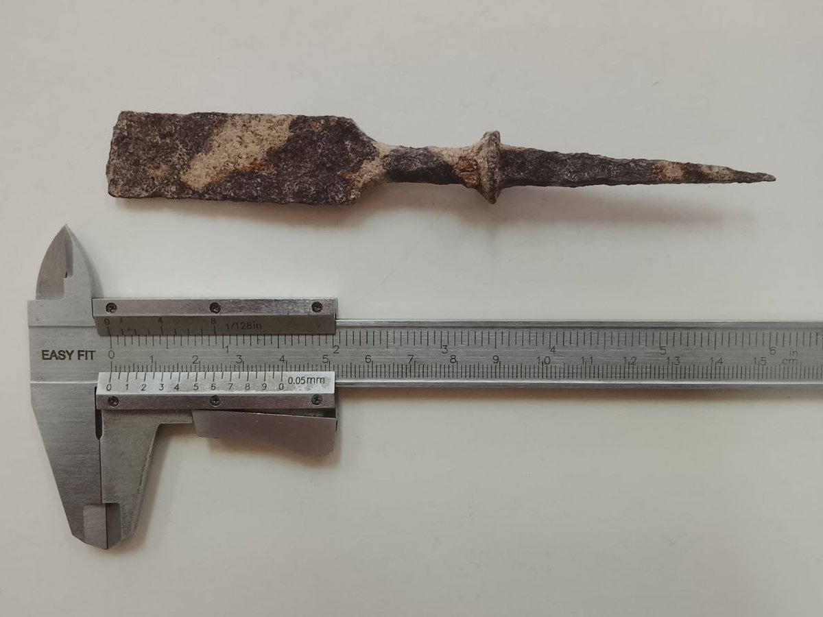 TMSifting's tweet photo. Find and Finder Of The Month: David and Liron Shimron and A Small Iron Tool https://t.co/XfGuemoZkb https://t.co/AsFsnoERpS