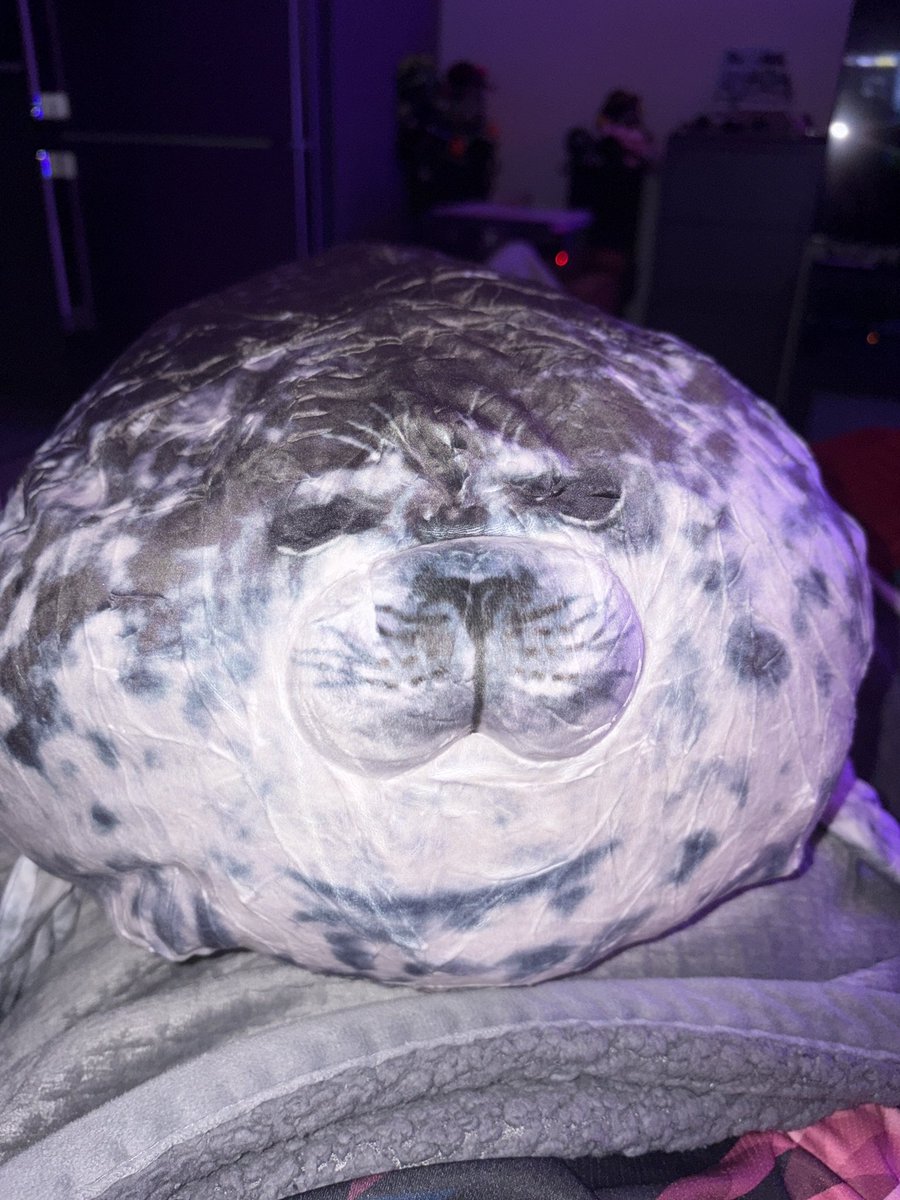 F1Cheeto's tweet image. Greg