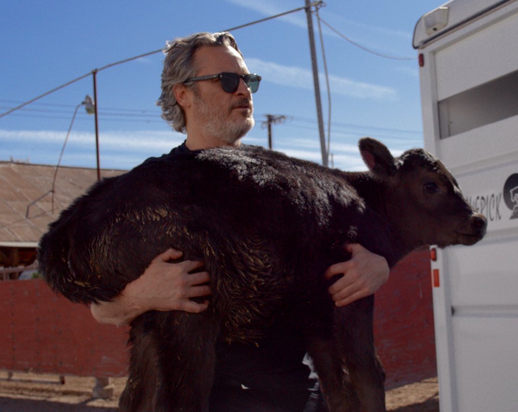 pieslo (@sadball) on Twitter photo 