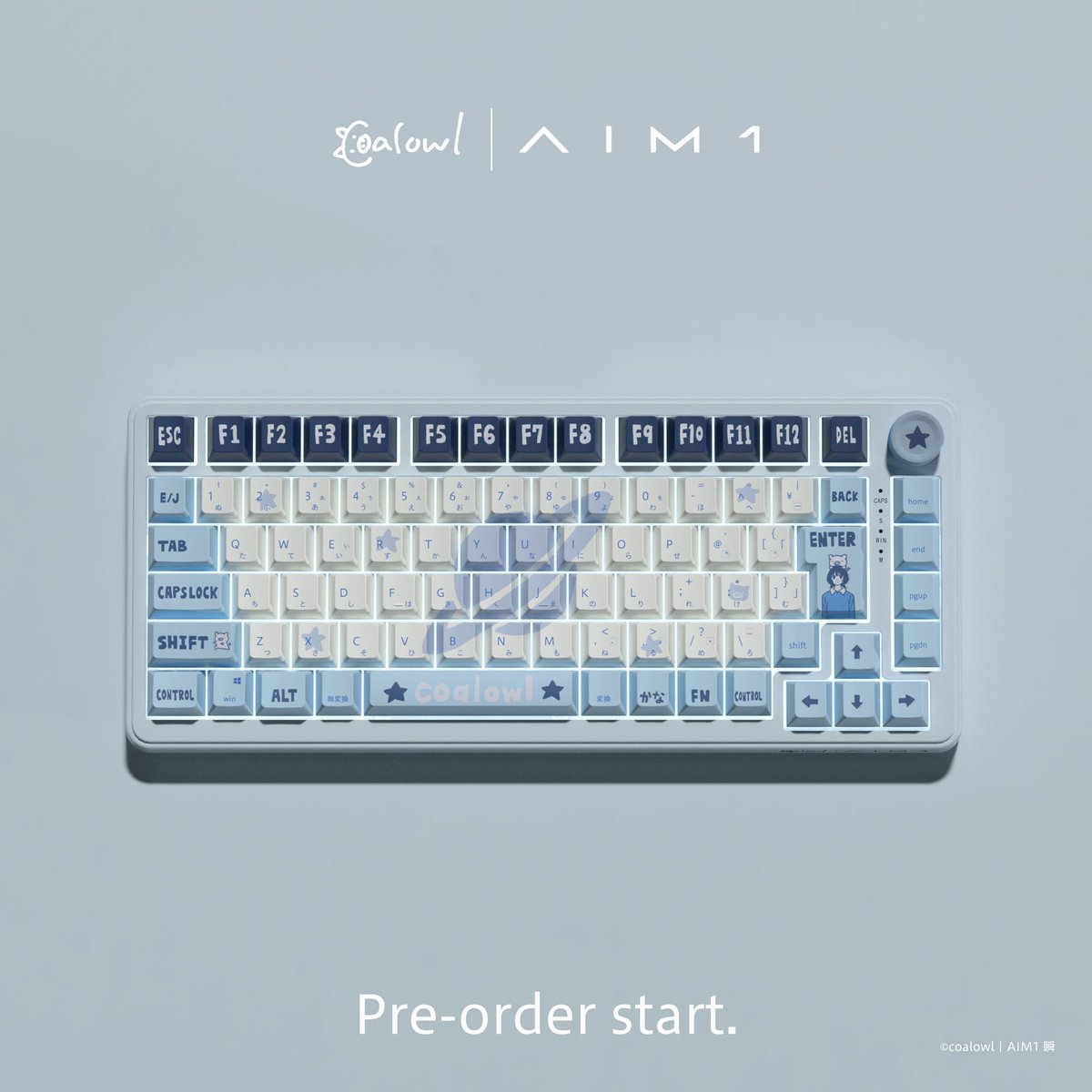 coalowl x AIM1 コラボキーボードが出ました??? かわいすぎる 