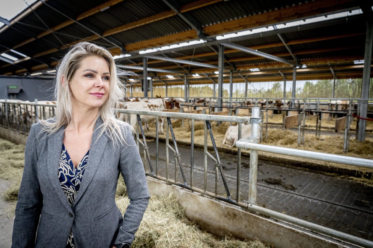 Karaktermoord op Femke Wiersma?

Zodra je in Den Haag aan het stikstofdossier komt, leg je feitelijk je nek op het politieke hakblok. Maar wie probeert het fundament zelf te verleggen, riskeert meer dan beleidskritiek alleen. <a href="/ministerLVVN/">Femke Marije Wiersma</a> (#BBB) merkte dat al snel: haar