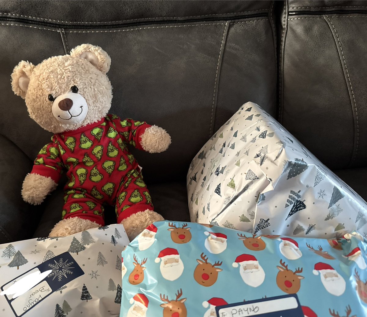 LiamCrave's tweet image. Merry Christmas from Payno bear