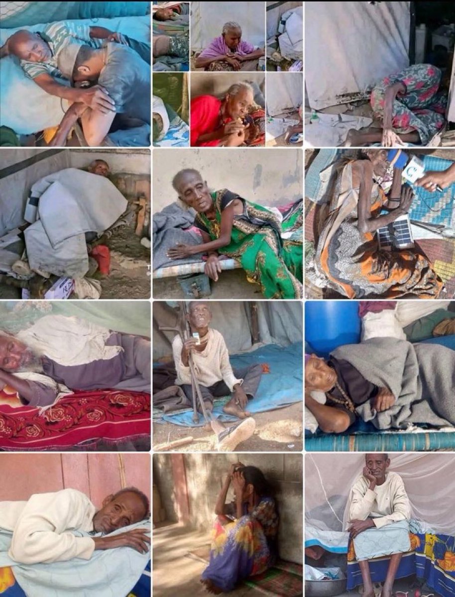 Eyerustg's tweet photo. #TigrayCantWait @amnesty @BradSherman @UN 
@UNOAU_ @StateDept @MPTourism
 @EUCouncil @UN_HRC @UNFPA 
While the guns may have quieted,the #TigrayGenocide endures in silence. Eritrean forces control lives under dictatorship,Amhara forces continue in western Tigray,&amp; #IDPs suffer. https://t.co/agNPvqqd5T