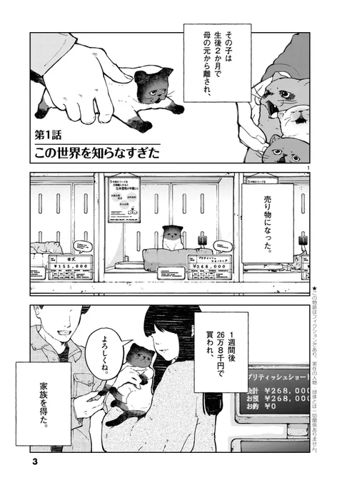 全部救ってやる
1.2巻期間限定無料
本日23:59分までです🐈‍⬛🐈

生き物を今より知れて好きになれるはず🐶🐱

https://t.co/Q5ksildDAp 